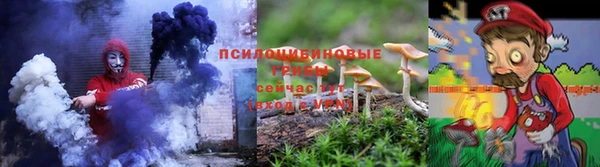 шишки Беломорск