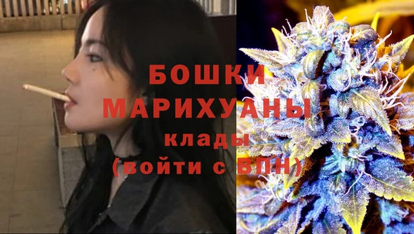шишки Беломорск