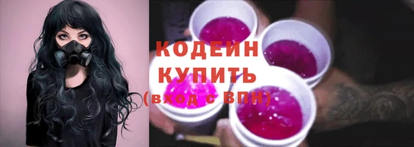шишки Беломорск