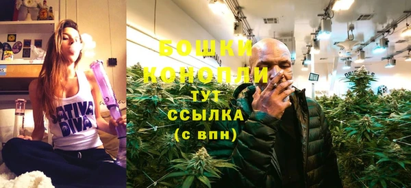 шишки Беломорск