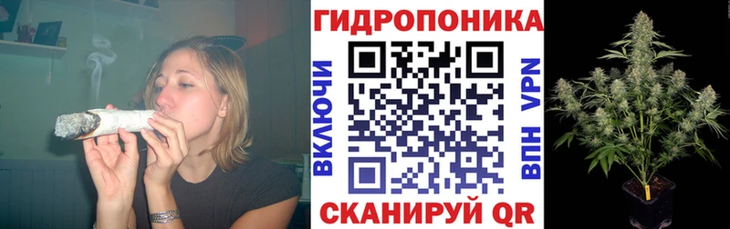 darknet наркотические препараты  Котлас  МАРИХУАНА Bruce Banner  даркнет сайт 